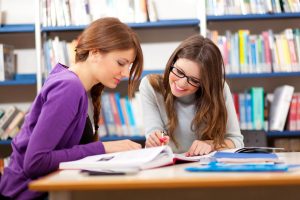 Essay Writing Basics for College Students
