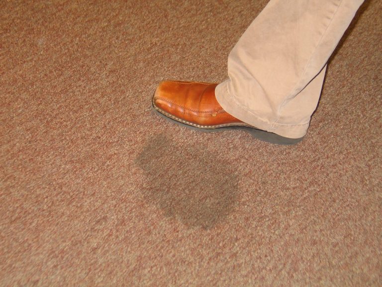 Water Damage? How to Prevent Your Carpet from Going Mouldy