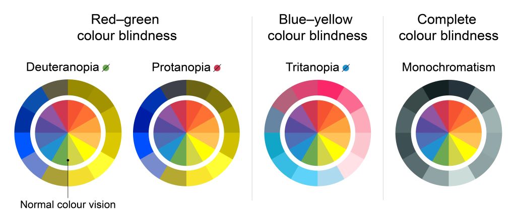 Illustration showing a color spectrum fading to grayscale, symbolizing the Chromakopia phenomenon and color blindness to colors