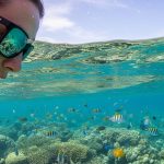 angler spotting fish in clear water wearing polarized sunglasses